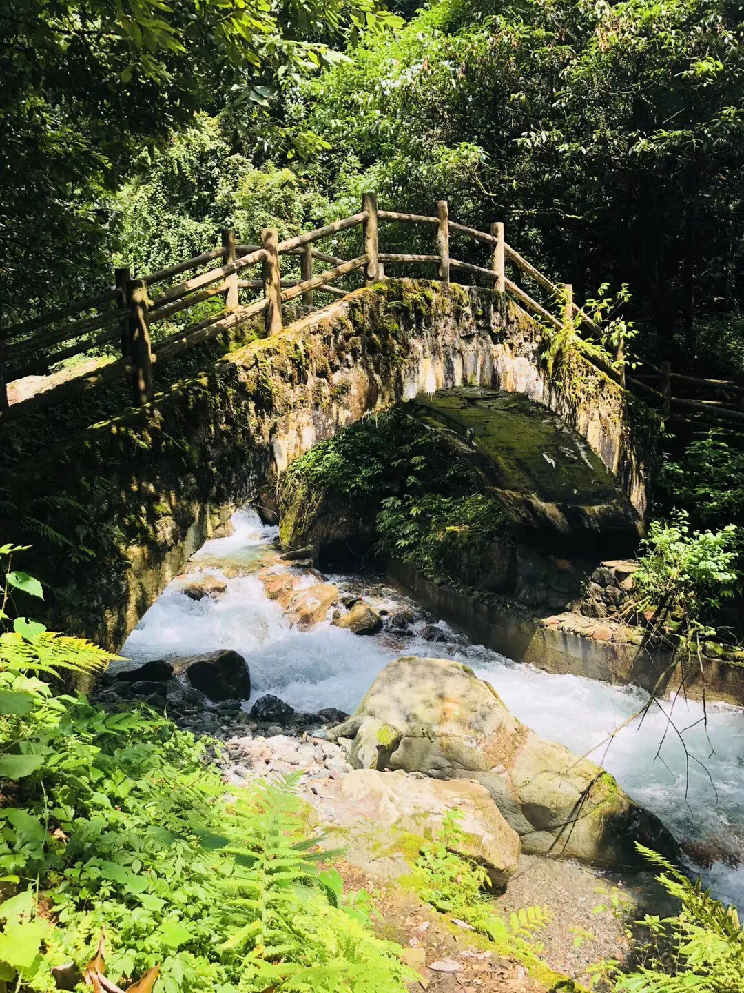 新疆爆冷输鱼腩，一人遭怒批：一点攻击欲望都没有，留场上干什么